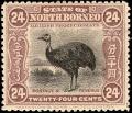 Colnect-2788-307-Dwarf-Cassowary-Casuarius-casuarius.jpg