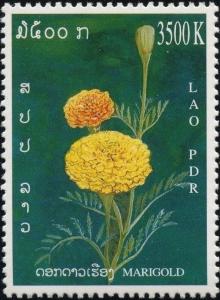 Colnect-2688-886-Yellow-orange-marigolds.jpg