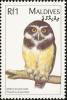 Colnect-1631-928-Spectacled-Owl-Pulsatrix-perspicillata.jpg