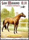 Colnect-1018-248--Molvedo--Equus-ferus-caballus.jpg