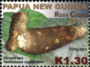 Colnect-2061-052-Chinese-Taro-Xanthosoma-sagittifolium.jpg