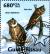 Colnect-3787-184-Great-Horned-Owl-Bubo-virginianus-Long-eared-Owl-Asio-ot.jpg