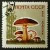 Soviet_Union_stamp_1964_CPA_3123a.jpg