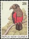 Colnect-1555-927-Pesquet--s-Parrot-Psittrichas-fulgidus.jpg