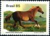 Colnect-2802-161-Mangalarga-pacer-Equus-ferus-caballus.jpg