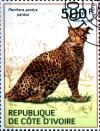Colnect-3444-476-African-Leopard-Panthera-pardus-pardus.jpg