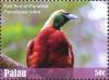 Colnect-4835-364-Red-Bird-of-paradise----Paradisaea-rubra.jpg