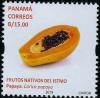 Colnect-5918-185-Papaya-Carica-papaya.jpg