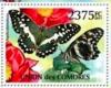 Colnect-6205-721-Papilio-demoleus.jpg