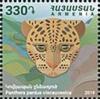Colnect-6224-323-Caucasian-Leopard-Panthera-pardus-tulliana.jpg