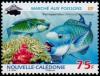 Colnect-858-918-Pacific-Steephead-Parrotfish-Chlorurus-microrhinos.jpg