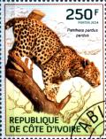 Colnect-3444-474-African-Leopard-Panthera-pardus-pardus.jpg