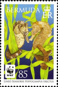 Colnect-5090-421-Pair-in-Seaweed.jpg