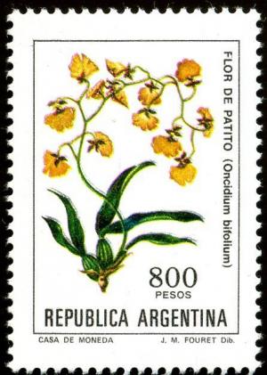 Colnect-1440-777-Flor-de-Patito-Oncidium-bifolium.jpg
