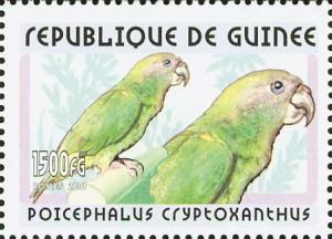 Colnect-3813-923-Red-fronted-Parrot-Poicephalus-gulielmi.jpg