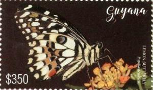 Colnect-4966-867-Papilio-demoleus.jpg