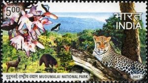 Colnect-542-625-Leopard-Panthera-pardus---Mudumalai-National-Park.jpg