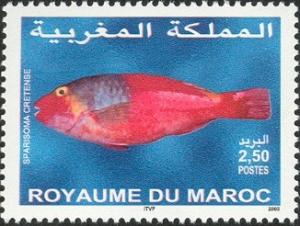 Colnect-617-481-Mediterranean-Parrotfish-Sparisoma-cretense.jpg
