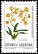 Colnect-4901-803-Flor-de-Patito-Oncidium-bifolium.jpg