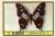 Colnect-1559-353-Papilio-weiskei.jpg
