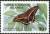 Colnect-2609-967-Island-Swallowtail-Papilio-aristodemus-ssp-bjorndalae.jpg