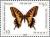 Colnect-3472-768-Papilio-machaon.jpg