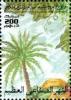 Colnect-5458-879-Palm-tree-fruit.jpg