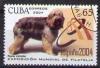 Colnect-1275-672-Catalan-Sheepdog-Canis-lupus-familiaris.jpg