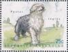 Colnect-2705-130-English-sheepdog-Canis-lupus-familiaris.jpg
