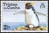 Colnect-1967-066-Southern-Rockhopper-Penguin-Eudyptes-chrysocome.jpg