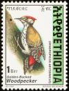 Colnect-2890-979-Abyssinian-Woodpecker-Dendropicos-abyssinicus.jpg