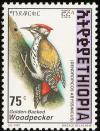 Colnect-2891-001-Abyssinian-Woodpecker-Dendropicos-abyssinicus.jpg