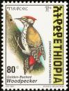 Colnect-2891-002-Abyssinian-Woodpecker-Dendropicos-abyssinicus.jpg