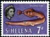 Colnect-3238-962-Atlantic-Trumpetfish-Aulostomus-strigosus.jpg