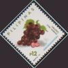 Colnect-4441-979-Grapes-Vitis-vinifera.jpg