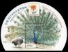 Colnect-4580-072-Indian-Peafowl-Pavo-cristatus.jpg