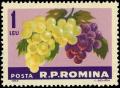 Colnect-5043-546-Grapes-Vitis-vinifera.jpg