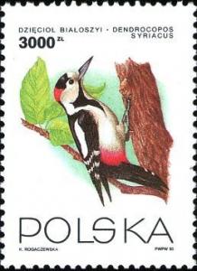 Colnect-3965-692-Syrian-Woodpecker-Dendrocopos-syriacus.jpg