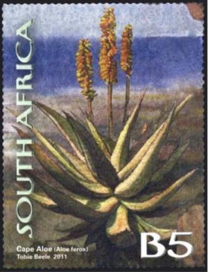 Colnect-1625-325-Cape-Aloe-Aloe-ferox.jpg