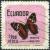 Colnect-2305-182-Scarlet-Peacock-Anartia-amathea.jpg