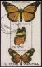 Colnect-1264-222-Moth-Peridromia-amphinome.jpg