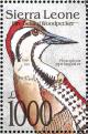 Colnect-1617-960-Fire-bellied-Woodpecker-Dendropicos-pyrrhogaster-.jpg