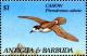 Colnect-1833-931-Bermuda-Petrel-Pterodroma-cahow.jpg