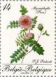 Colnect-186-549-Stampexhibition-BELGICA.jpg