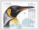 Colnect-5019-095-Penguin-Species.jpg