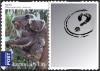 Colnect-1555-460-Koala-Phascolarctos-cinereus.jpg