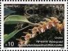 Colnect-551-396-Orchids---Bulbophyllum-leopardinum-Wall-Lindl.jpg