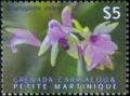 Colnect-1890-614-Scaphyglottis-stellata.jpg