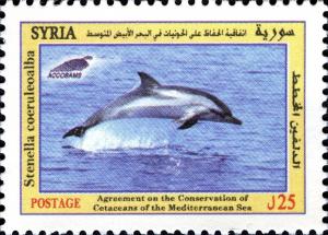 Colnect-1852-000-Striped-Dolphin-Stenella-coeruleoalba.jpg