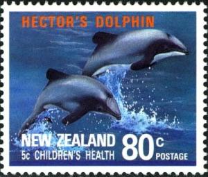 Colnect-2247-524-Hector-s-Dolphin-Cephalorhynchus-hectori.jpg